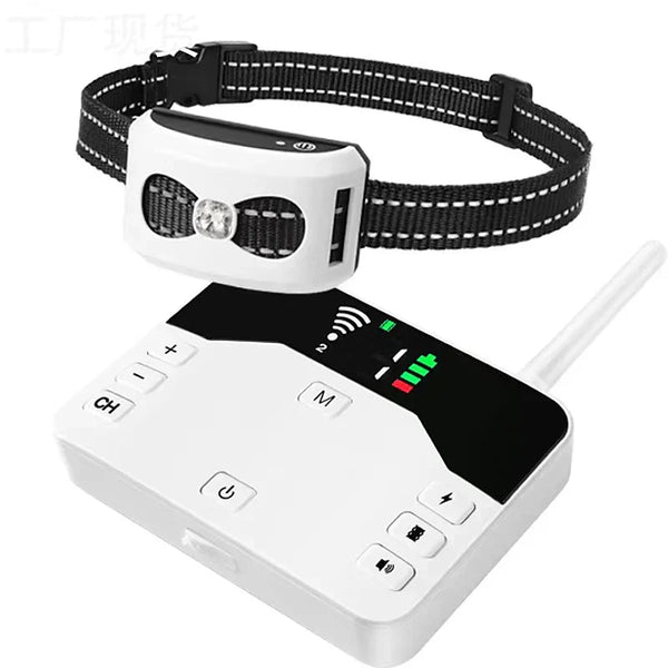 Clôture Sans Fil & Collier de Dressage 2-en-1 pour Chien – Étanche, Rechargeable, Portée 300 m