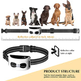 Clôture Sans Fil & Collier de Dressage 2-en-1 pour Chien – Étanche, Rechargeable, Portée 300 m