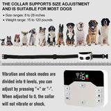 Clôture Sans Fil & Collier de Dressage 2-en-1 pour Chien – Étanche, Rechargeable, Portée 300 m